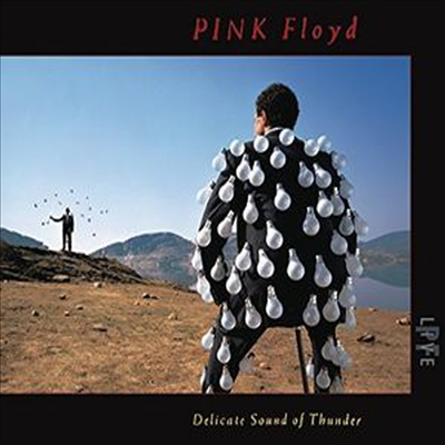 Pink Floyd - Delicate Sound Of Thunder (Live) (Digipack)(2CD)