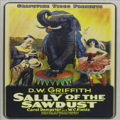 Sally Of The Sawdust (1925) (Silent) (소우더스트)(한글무자막)(DVD)