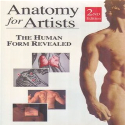 Anatomy For Artists - The Human Form Revealed (아나토미 포 아티스트)(지역코드1)(한글무자막)(DVD)
