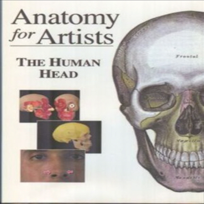 Anatomy For Artists - The Human Head (아나토미 포 아티스트)(지역코드1)(한글무자막)(DVD)