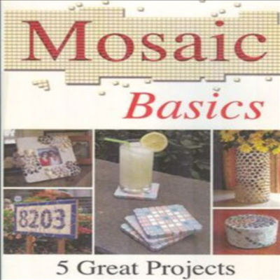 Art Of Mosaic Basics (모자이크 베이직)(지역코드1)(한글무자막)(DVD)