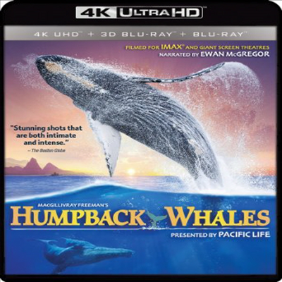 IMAX: Humpback Whales (IMAX: 혹등고래) (한글무자막)(4K Ultra HD + 3D Blu-ray + Blu-ray)