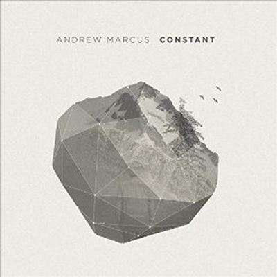 Andrew Marcus - Constant (CD)