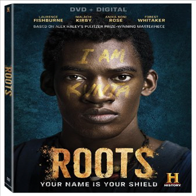 Roots (루츠)(지역코드1)(한글무자막)(DVD)