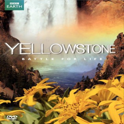 Yellowstone: Battle for Life (옐로우 스톤)(지역코드1)(한글무자막)(DVD)