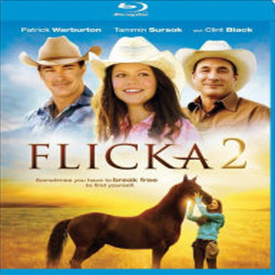 Flicka 2 (플리카 2)(한글무자막)(Blu-ray)