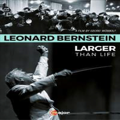 레너드 번스타인의 삶과 음악 (Leonard Bernstein - Larger than Life) (DVD)(한글자막) (2016) - Leonard Bernstein