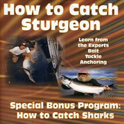 How to Catch Sharks & How to Catch Sturgeon (하우 투 캐치 샤크)(지역코드1)(한글무자막)(DVD)