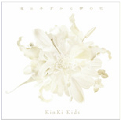 Kinki Kids (킨키키즈) - 道は手ずから夢の花 (CD)