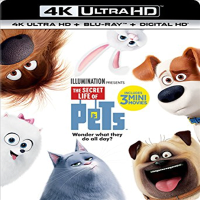 The Secret Life Of Pets (마이펫의 이중생활) (한글무자막)(4K Ultra HD + Blu-ray + Digital HD)