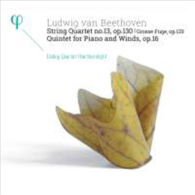 베토벤: 현악 사중주 13번 &amp; 대푸가 (Beethoven: String Quartet No.13 &amp; Grosse Fugue Op.133)(CD) - Edding Quartet