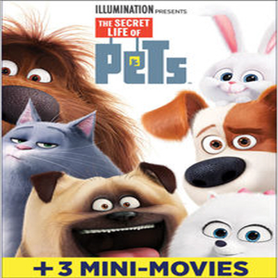 Secret Life Of Pets (마이펫의 이중생활)(지역코드1)(한글무자막)(DVD)