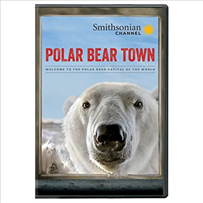 Polar Bear Town: Season 1 (폴라 베어)(지역코드1)(한글무자막)(DVD)