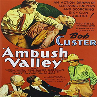 Ambush Valley (앰부시 밸리)(지역코드1)(한글무자막)(DVD)