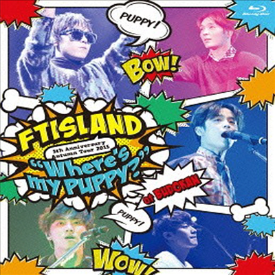 FT아일랜드 (FTISLAND) - 5th Anniversary Autumn Tour 2015 'Where's My Puppy?'(Blu-ray)(2016)