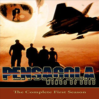 Pensacola: Wings Of Gold - Comp First Season (펜사콜라) (DVD-R)(한글무자막)(DVD)