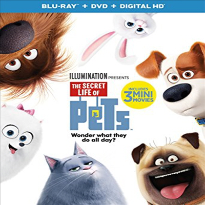 Secret Life of Pets (마이펫의 이중생활) (한글무자막)(Blu-ray+DVD)