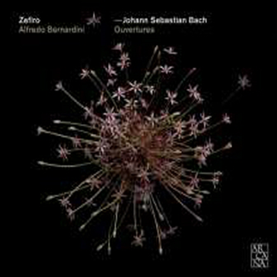 바흐: 관현악 모음곡 1번, 3번 & 4번 (Bach: Orchestral Suites Nos.1, 3 & 4)(CD) - Alfredo Bernardini