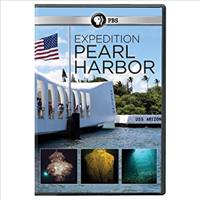Pearl Harbor - Into The Arizona (펄 하버 인투 더 아리조나)(지역코드1)(한글무자막)(DVD)