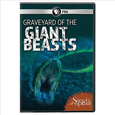 Secrets Of The Dead: Graveyard Of Giant Beasts (시크릿 오브 더 데드)(지역코드1)(한글무자막)(DVD)