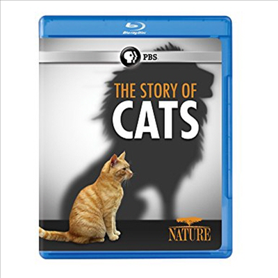 Nature: The Story Of Cats (네이쳐 더 스토리 오브 캣츠) (한글무자막)(Blu-ray)