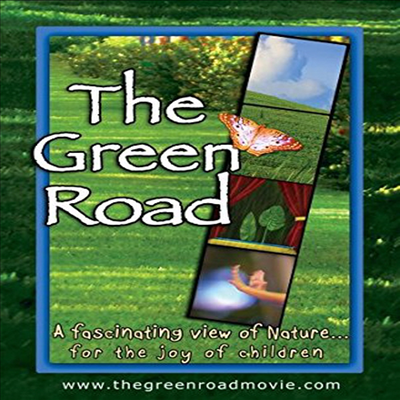 The Green Road (더 그린 로드)(지역코드1)(한글무자막)(DVD)