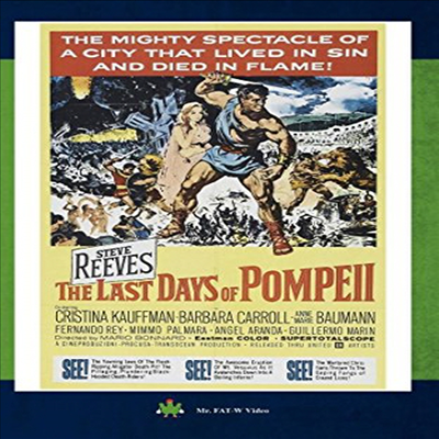 Last Days Of Pompeii (폼페이 최후의 날) (DVD-R)(한글무자막)(DVD)