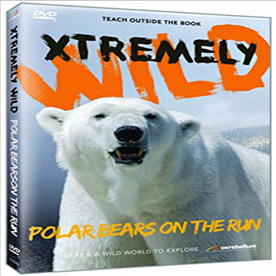 Polar Bears On The Run (포올러 베어)(지역코드1)(한글무자막)(DVD)
