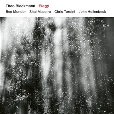 Theo Bleckmann - Elegy (CD)