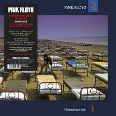 Pink Floyd - A Momentary Lapse Of Reason (Remastered)(Gatefold Cover)(180G)(LP)