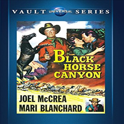 Black Horse Canyon (블랙 호스 캐년) (DVD-R)(한글무자막)(DVD)