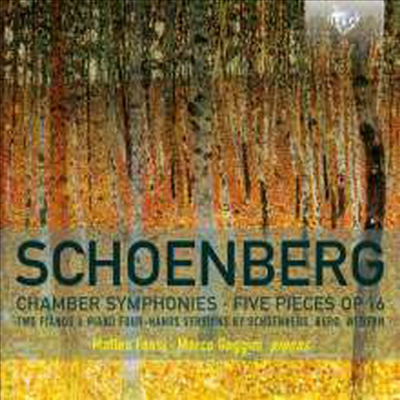 쇤베르크: 실내 교향곡 1번 & 2번 - 두 대의 피아노 연주반 (Schonberg: Chamber Symphonies Nos.1 & 2 - for Two Pianos)(CD) - Matteo Fossi