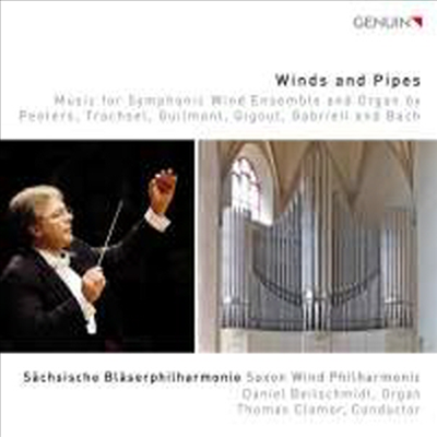 목관과 파이프 - 관악 앙상블과 오르간을 위한 작품집 (Winds & Pipes - Music for Symphonic Wind Ensemble & Organ)(CD) - Thomas Clamor