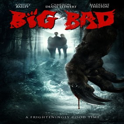 Big Bad (빅 배드)(지역코드1)(한글무자막)(DVD)