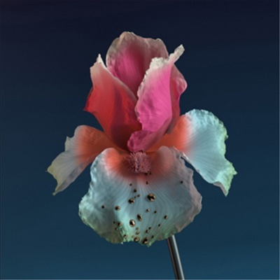 Flume - Tiny Cities / Take A Chance (Remix) (180G)(12&quot; Single Vinyl)(LP)