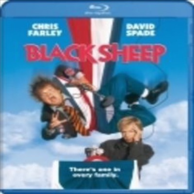 Black Sheep (블랙 쉽)(한글무자막)(Blu-ray)