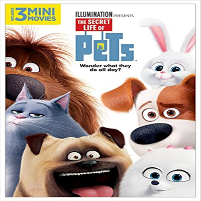 Secret Life Of Pets (마이펫의 이중생활)(지역코드1)(한글무자막)(DVD)