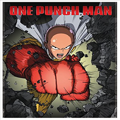 One - Punch Man (Standard Edition) (원펀치맨)(지역코드1)(한글무자막)(DVD)