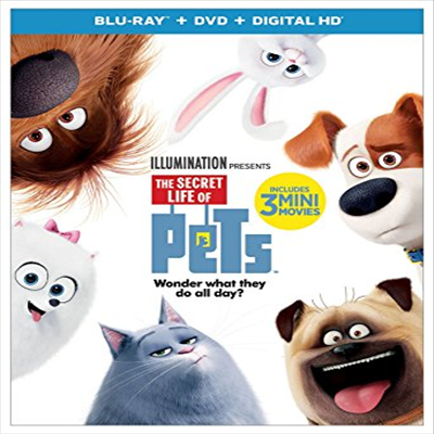 Secret Life Of Pets (마이펫의 이중생활)(한글무자막)(Blu-ray)