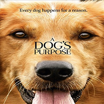 Dog&#39;s Purpose (어 도그스 퍼퍼스)(지역코드1)(한글무자막)(DVD)
