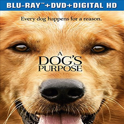 Dog&#39;s Purpose (어 도그스 퍼퍼스)(한글무자막)(Blu-ray+DVD)