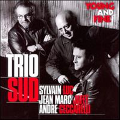 Sylvain Luc/Trio Sud - Young &amp; Fine