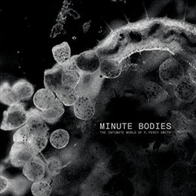 Tindersticks - Minute Bodies: Intimate World Of F. Percy Smith (CD+DVD)(PAL 방식)