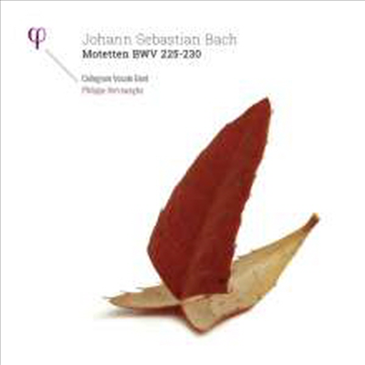 바흐: 모테트 (Bach: Motets, BWV225 - 230) (180g)(2LP) - Philippe Herreweghe