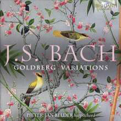 바흐: 골드베르크 변주곡 (Bach: Goldberg Variations, BWV988) (180g)(2LP) - Pieter-Jan Belder