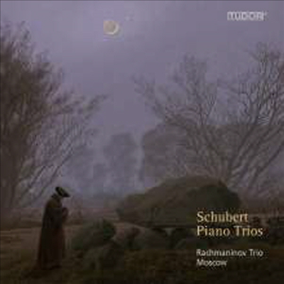 슈베르트: 피아노 삼중주 1번 &amp; 2번 (Schubert: Piano Trios Nos.1 &amp; 2) (2CD) - Rachmaninov Trio Moscow