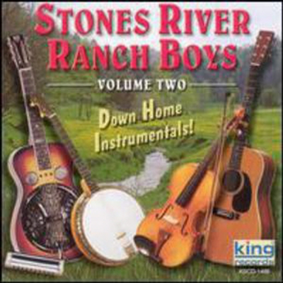 Stones River Ranch Boys - Down Home Instrumentals 2 (CD)