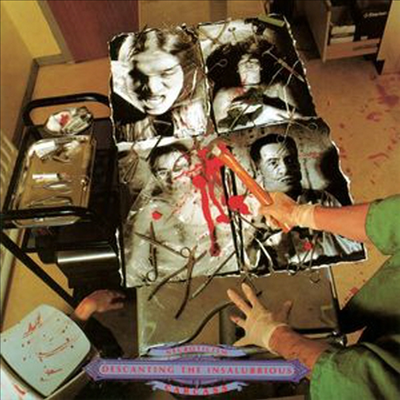 Carcass - Necroticism - Descanting The Insalubrious (LP)