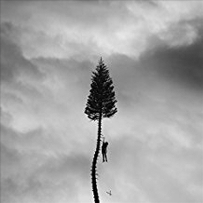 Manchester Orchestra - A Black Mile To The Surface (Deluxe Edition)(180G)(2LP)