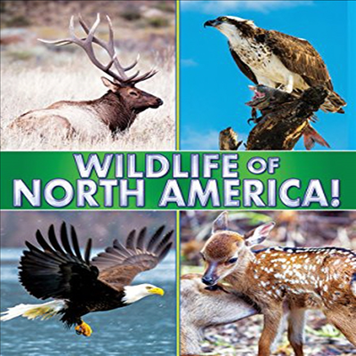 Wildlife Of North America (북아메리카의 야생 동물) (한글무자막)(한글무자막)(DVD)